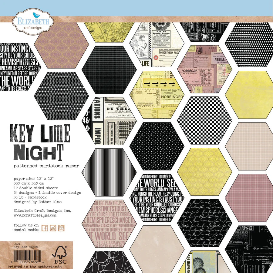 Elizabeth Craft Designs Key Lime Night 12” x 12” Paper